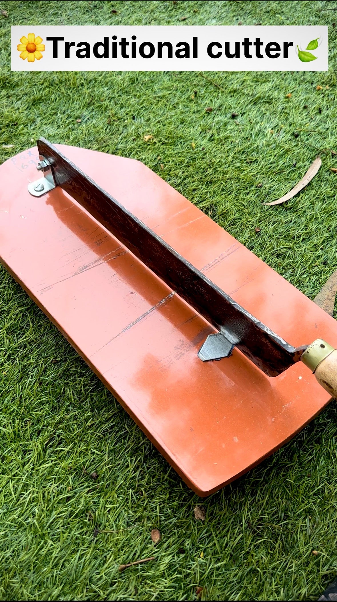 Traditional Cutter with sharp handmade iron blade