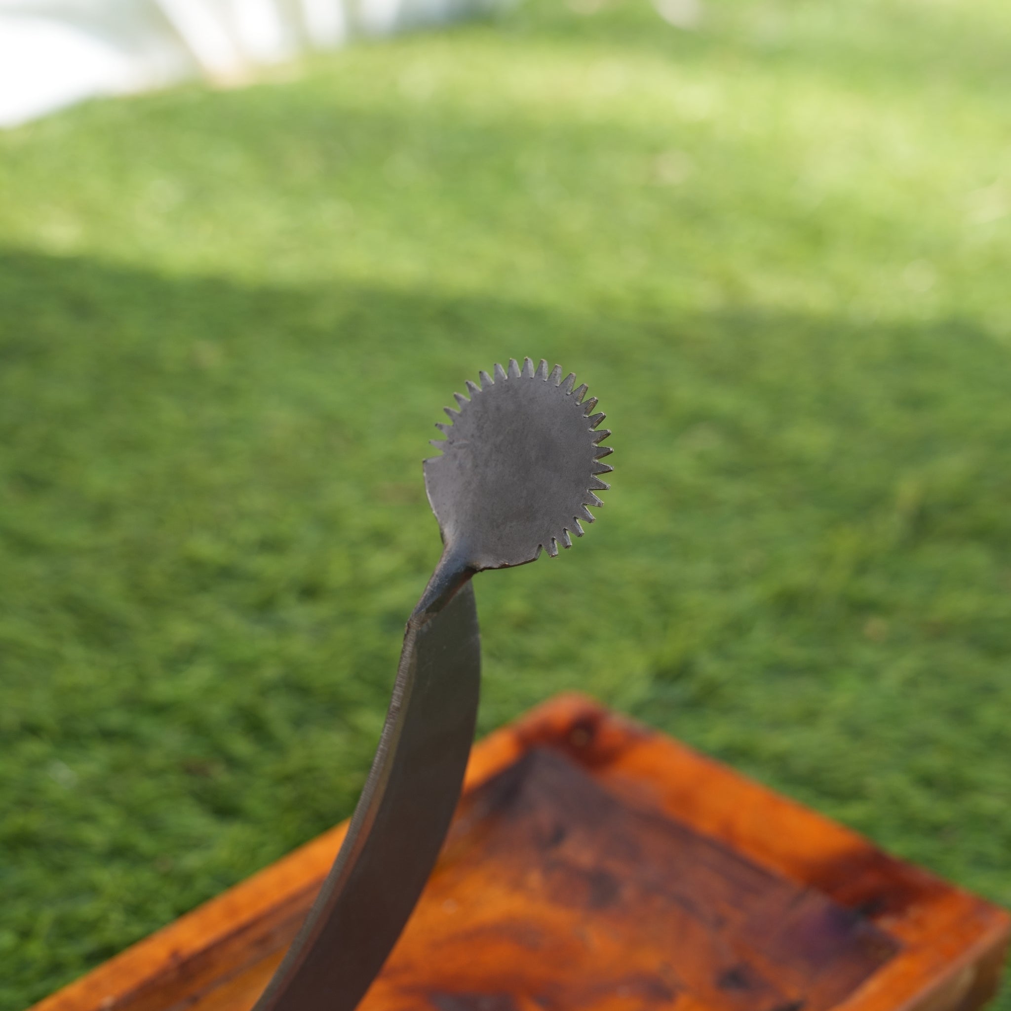 Teak wood Vegetable cutter and coconut scraper